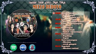 mp3 tayub mulyo budoyo lamongan - nyi wariati vol 1