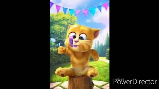 Ginger Talking Birthday Is Reverse