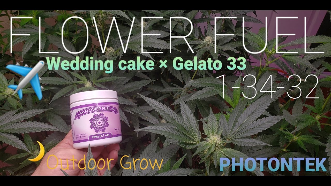 Flower Fuel for your Cannabis