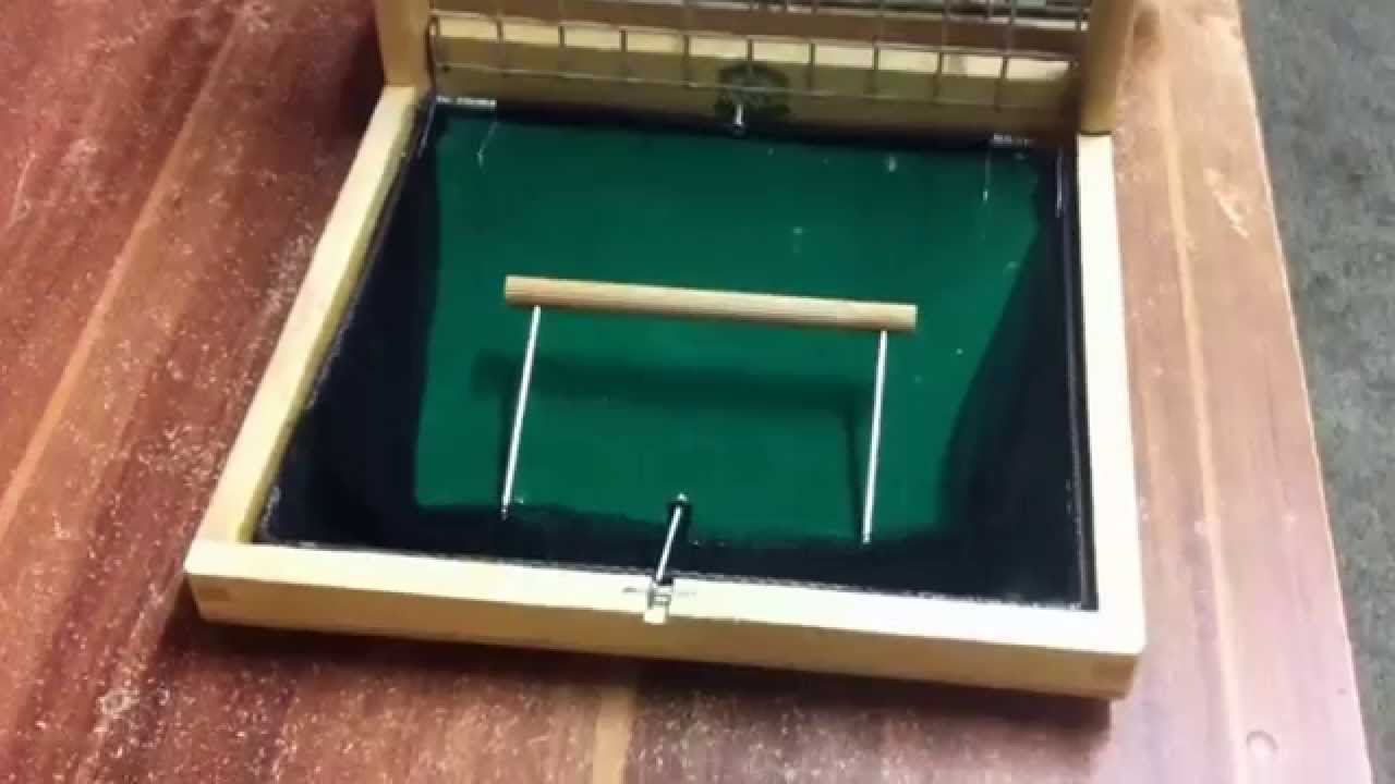 Bird Trap Vogelfalle kuş Tuzak Kapan птица ловушка