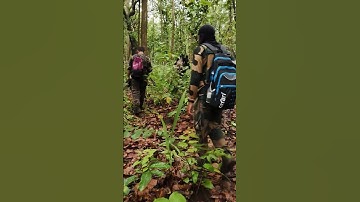 Bsf Power 🪖 #commando #army #bsf #crpf #cisf #attitude #motivation #viralvideo #shorts 🔥🔥