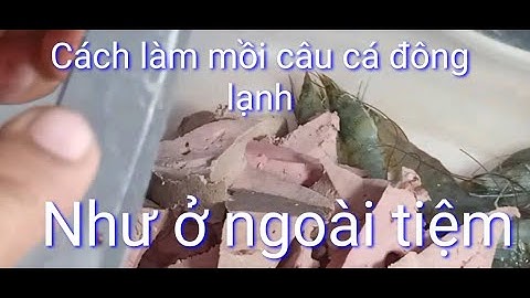 Cách làm mồi câu cá đông lạnh hiệu quả tại nhà.(Bài mồi câu cá rô phi, diêu hồng hiệu quả)