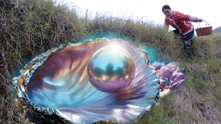 😱😱 Giant clams, girls harvest beautiful and charming blue pearls in the deep pool