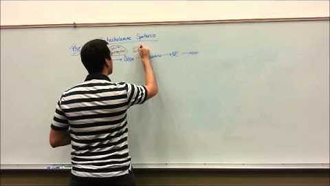 Catecholamine Synthesis and Tyrosine Metabolism