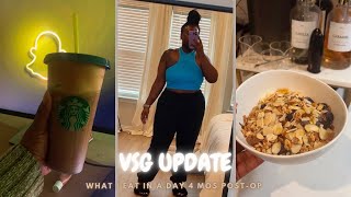 VSG| WHAT I EAT IN A DAY 4 MONTHS POST OP| CHARDENISE