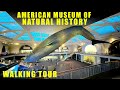 American museum of natural history  walking tour  new york city  full walkthrough