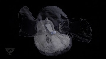 Snot Palaces revealed: Virtually fly-through a deep-sea giant larvacean house