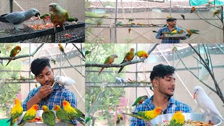 Morning Soft Food For My Birds & Parrots screenshot 5