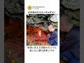 燃える段ボールを穴に投げ込む理由