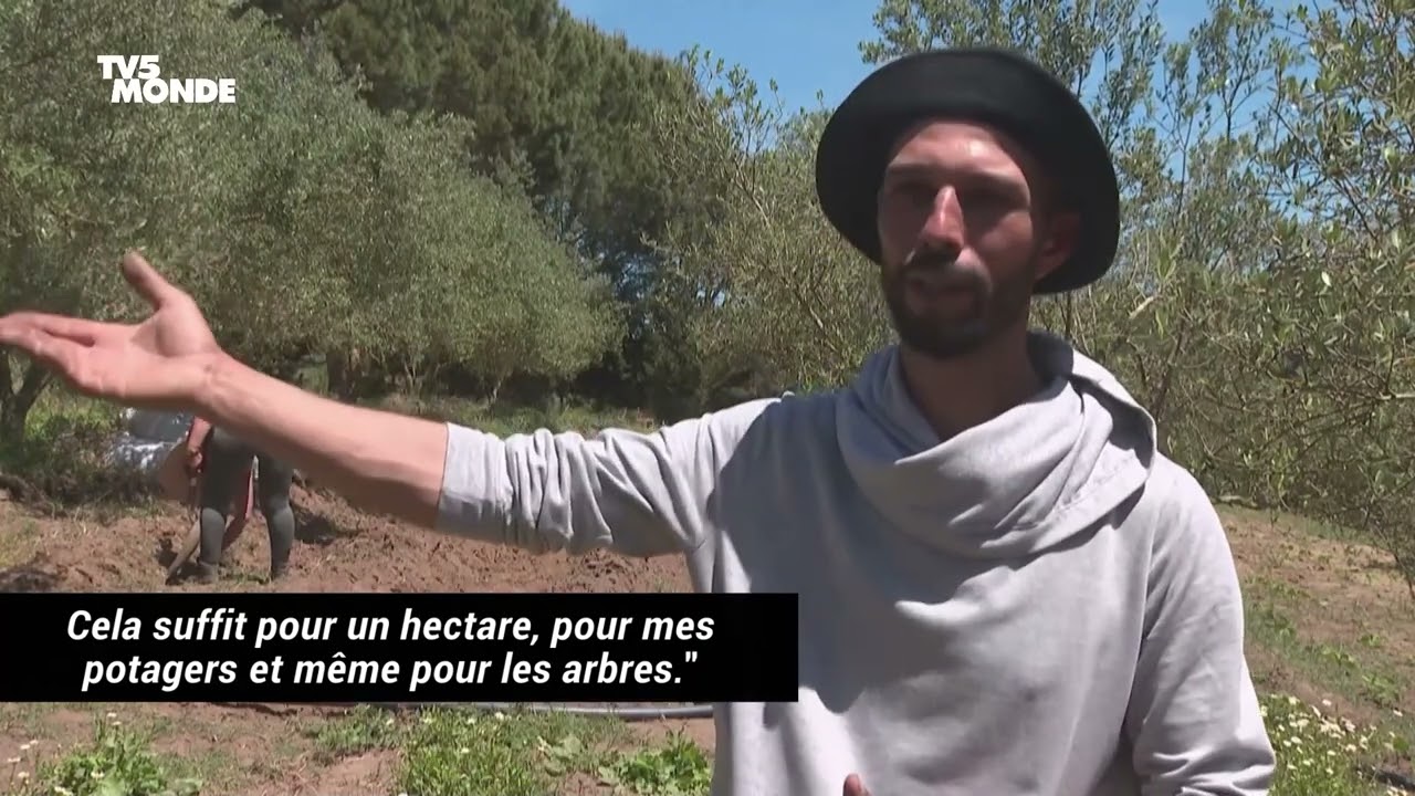 La permaculture gagne du terrain en Tunisie