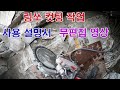 링쏘 사용후기~(처음 써보는 링쏘) 매우 만족 도장 꽝꽝꽝!!!(무편집영상)
