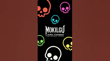 Mokilgu 1st Mix 2 Transitions Mix Remix Flx4 Djing Dj Electro House Techno Ambiance 