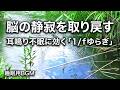 【耳鳴り治療音】脳の静寂を取り戻す「1/fゆらぎ」:自律神経を整え耳鳴り不眠ストレスを改善