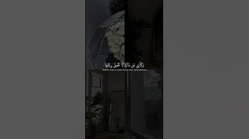 أكتب شئ تؤجر عليه 🤍! #عبدالرحمن_مسعد #سورة_العنكبوت