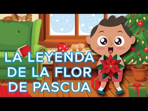 Cuento de la Flor de Nochebuena para niños | Leyenda mexicana de Navidad