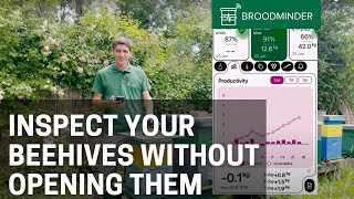 Inspect Your Beehives Without Opening Them | Remote Beekeeping with BroodMinder