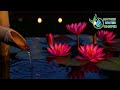 Pink Lotus Pond: Ambient Candlelight &amp; Bamboo Water for Deep Relaxation