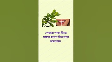 general knowledge || quiz | spinal cord | health tips #healthtips​ #health​ #tips​ #shortvideo #gk