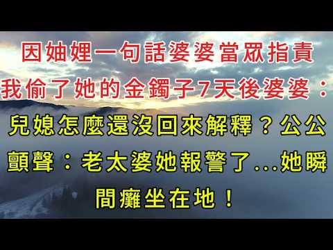 因妯娌一句話 婆婆當眾指責我偷了她的金鐲子7天後婆婆：兒媳怎麼還沒回來解釋？公公顫聲：老太婆，她報警了...她瞬間癱坐在地！#孝顺#儿女#讀書#晚年哲理#中老年心語#淺談人生#民間故事#養老#真實故事