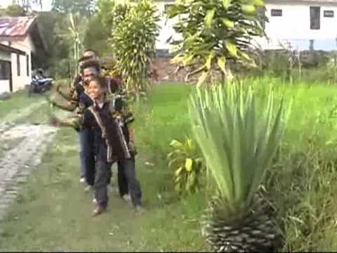 Sadesa - Gayo (Cipta - Hamka Kung)