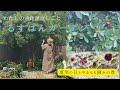 12月の雨の日