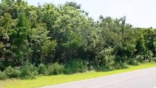Homes for Sale - 178 Grandview Dr Sneads Ferry NC 28460 - Ronell Rimes Homes for Sale - 178 Grandview Dr Sneads Ferry NC 28460 - Ronell Rimes