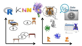 K-nearest neighbor (KNN) Algorithm in Machine Learning using R Programming