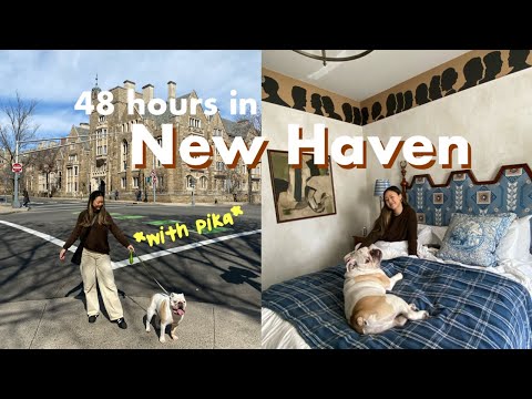 A Weekend in New Haven, CT | eating a lot of pizza 🍕, Italian food, and hotel time with the pup