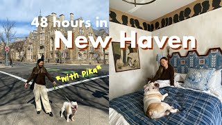 A Weekend in New Haven, CT | eating a lot of pizza 🍕, Italian food, and hotel time with the pup