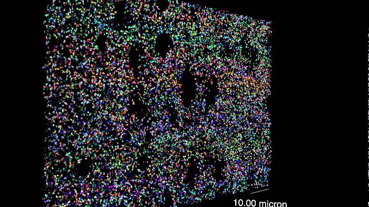 Rotating around a Synaptome