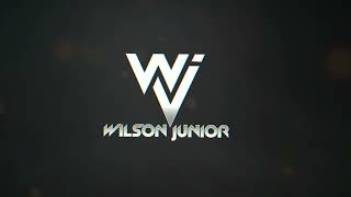 Gareth Emery   Fallen feat  旺仔小乔    DANCE COMERCIAL 2K25     WILSON JUNIOR