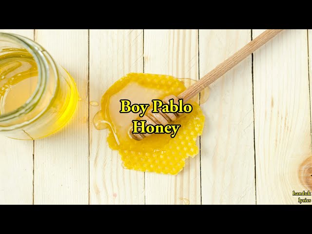Boy Pablo - Honey  (lyrics video) class=