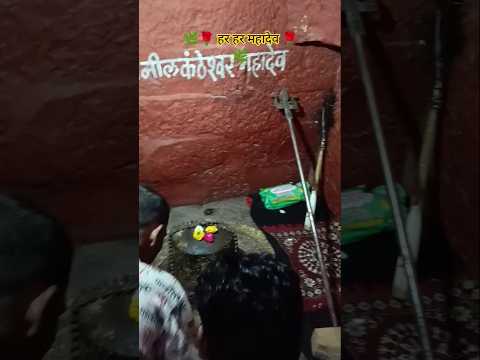 🌿 हर हर महादेव 🌿 जय महाकाल 🔱🌹🙏#मोहे पेड़ बनाइए तो बनाईए बेल पत्र को #यूट्यूब #शॉर्ट #वायरल #वीडियो
