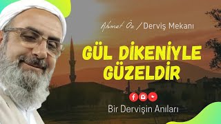 Gül Di̇keni̇yle Güzeldi̇r Mümi̇n Kardeşli̇ği̇