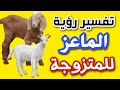 تفسير رؤية الماعز للمتزوجة فى المنام