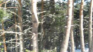 MVI_1564.AVI