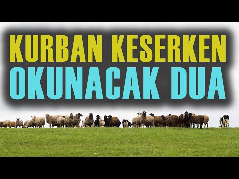 KURBAN KESERKEN OKUNACAK DUALAR | Kurban Duası Arapça-Türkçe Okunuşu-Anlamı