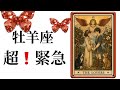 【目に止まった牡羊座さん】最高の5月🌸を迎えました☀️動画を見た時がタイミング✨牡羊座qさんへのメッセージ💌🩷ガッツリ読み解きました🃏