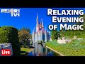 🔴Live: A Relaxing Evening at Magic Kingdom - Walt Disney World Live Stream - 4-2-21