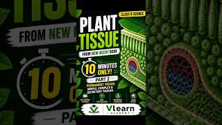 New NCERT Syllabus| Class 9 | Plant Tissue| Part 2