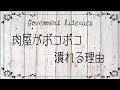 国産和牛が異様に高くなった理由【後編】 bgm Mr Children ～終わりなき旅～