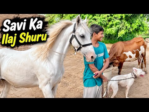 Savi Ka ilaj Shuru |@TalhaGhouriVlogs1 