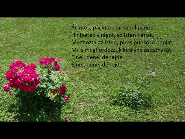 thumbnail img16x9