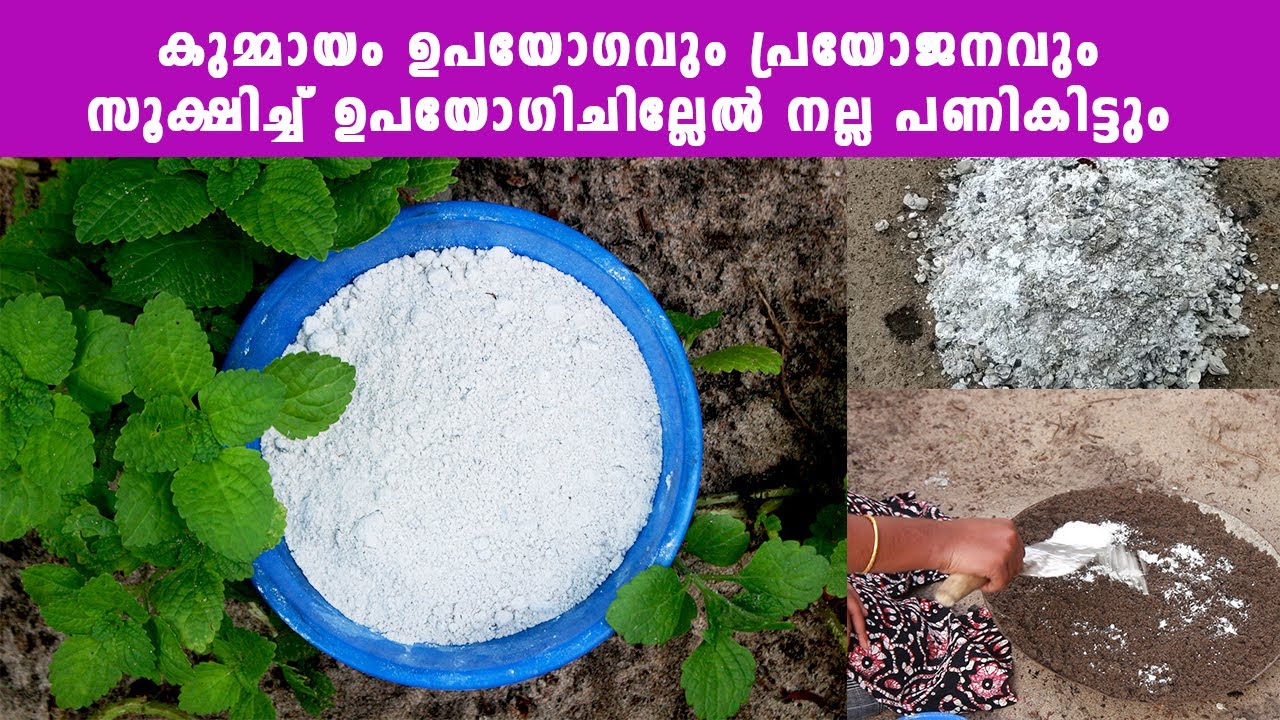Kummayam for Plants Malayalam Agriculture Lime Benefits കുമ്മായം