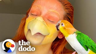 Needy Bird Rushes In The Shower Whenever He Hears The Water Running | The Dodo