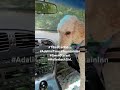 #TBirdCarRides #AdalineTime #FountainInn @102.5TheLake #GwenStefani #HollarbackGirl