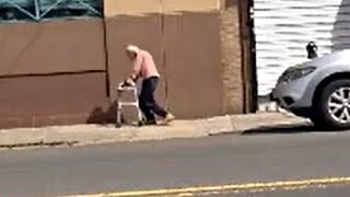 Decades of Animal Abuse