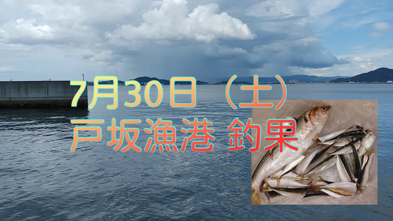 自由研究 青いザリガニの作り方 夏休みにザリガニにサバやイカなどのエサを与えて青ザリガニを飼育しよう Youtube