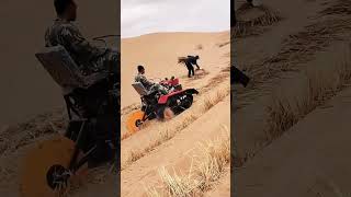 What's the world's most effective solution to stop desertification? #shorts