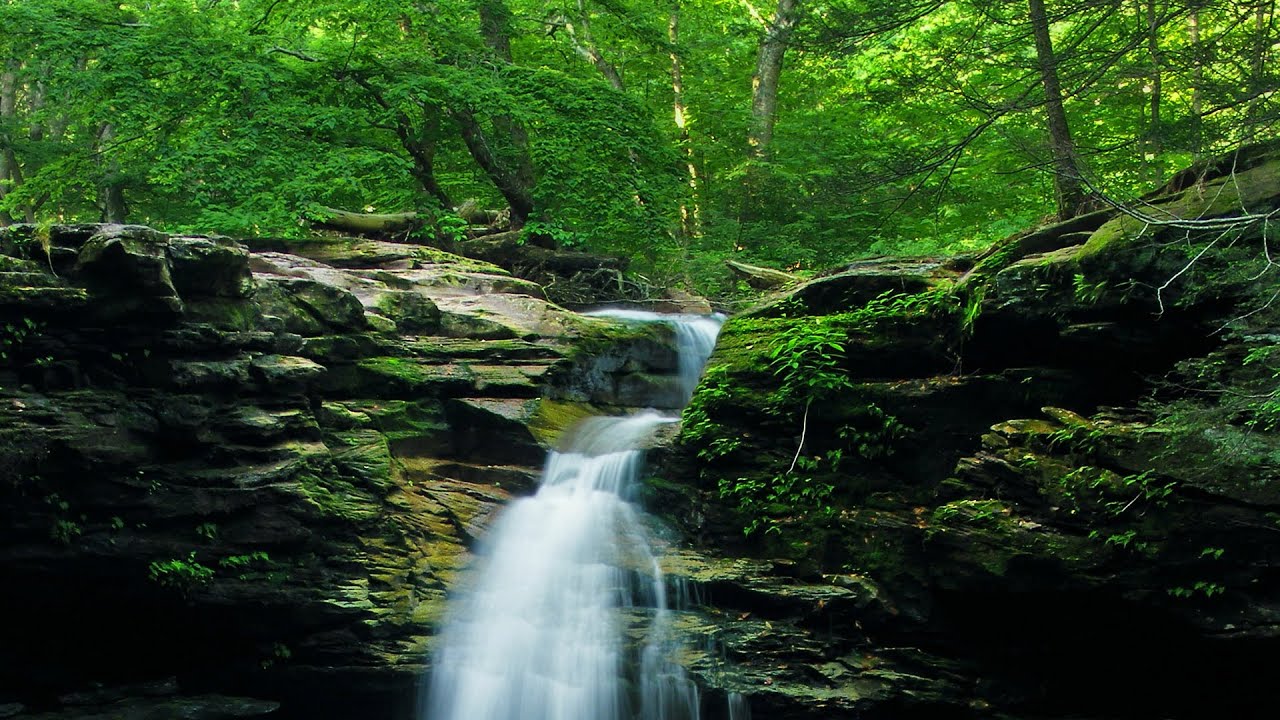 Waterfall flowing over rocks in forest 4k  Relaxing flowing water, White Noise for Sleep, Meditation